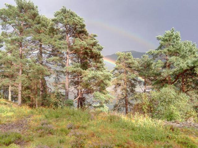 Apartamento Sognevegen 2242 Haugsvaer Exterior foto